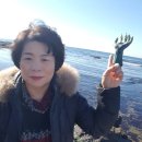 죽도회 | 경주 가족여행~☆ 둘째날 / 포항 호미곶, 죽도시장, 죽도시장 맛집