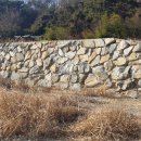 효령면사무소 Daum카페