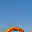 강원농특산품 | [강원 속초] 양미리 도루묵 축제 2025 직접 다녀온 후기