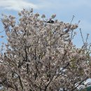 해공도서관 화장실 이미지