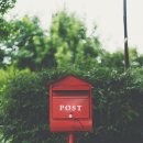 양지초등학교2 이미지