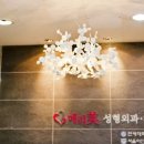 메리미의원 이미지