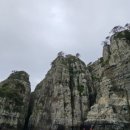 노정식성형외과의원 이미지