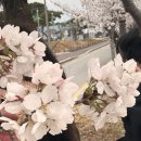 황남동 행정복지센터 화장실 이미지