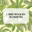 덕양모터스 이미지