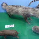 땅끝해양자연사박물관 이미지