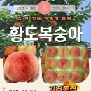 반디농원