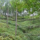 해비치마을 체험장 이미지