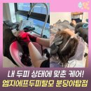 70 | 성남두피맞춤관리 12단계(70분관리)후기 탈모전문센터엠지에프분당점