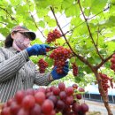 홍주유통 이미지