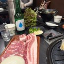 꽃돼지화돈