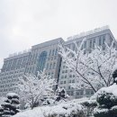 백석대학교 이미지