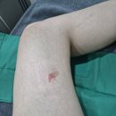 더미소피부과의원 이미지