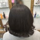 김호증모가발by헤어리서치