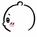 한수원 문화가 있는 날 2024 콘서트 우리소리 | 엔하이픈 콘서트 후기 [ 스탠딩 / 스탠딩화 꿀팁 / 추천 / 놀티켓 ]