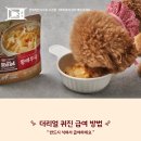 더퀴진