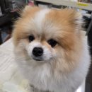 연두동물병원 이미지