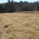 포항시북구52 이미지