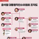 윤석열 대통령직인수위원회 조직도 이미지