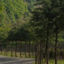 용인센타약국 이미지