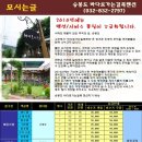 바다로 가는 길목 이미지