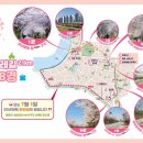 지도 왕벚나무길 이미지