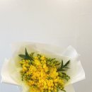 신월동120 이미지