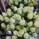 영플라워 | 관저동꽃집 영플라워샵, 학교 운영위원회 꽃바구니 맞춘 후기