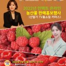 산딸기법인