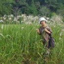 호동골공원 이미지