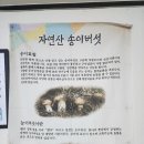 CU봉방스타점 | 🥕충북 충주시 짜글이 맛집 또방문! "순정식당"🥕내돈내산🥕