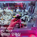 왕미미오락실 이미지
