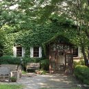 숲속의 섬 이미지