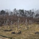 산업로4(동) 이미지