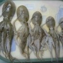 착한낙지 이미지