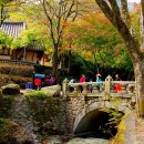 백양사(순천) 이미지