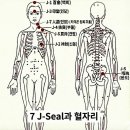 마하라타 쉴드 &amp; J-Seal 해제 표준 매뉴얼(디테일 추가) 이미지