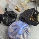 샤넬노래연습장 이미지