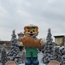 버드벨리 | [용인] 1월 에버랜드 완벽 정복! 스노우버스터 &amp; 버드토피아 꿀팁 후기