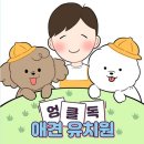 엉클독 애견유치원 이미지