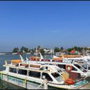 올인원투어 이미지