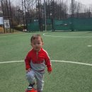 보람아트브레인어린이집 이미지