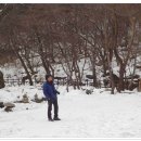 동학사1·2로 이미지