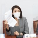 배현진 카카오 검색결과