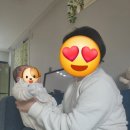화성산후도우미 화성, 오산 슈퍼맘 산후도우미의 따뜻한 돌봄 후기