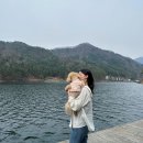 포천이동 생태공원 캠핑장 이미지