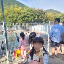 백설공주 팬션 | 2024.10.26. 경남 하동 도둑골 캠핑장 할로윈 캠핑 후기