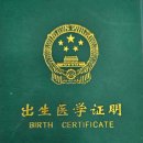 SMB 행정사 사무소 이미지