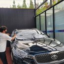 소나무세차장 이미지