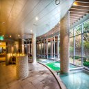 샘 온천 이미지